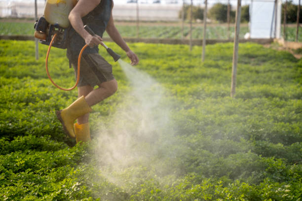 Best Ant Control Services  in Columbus, NC