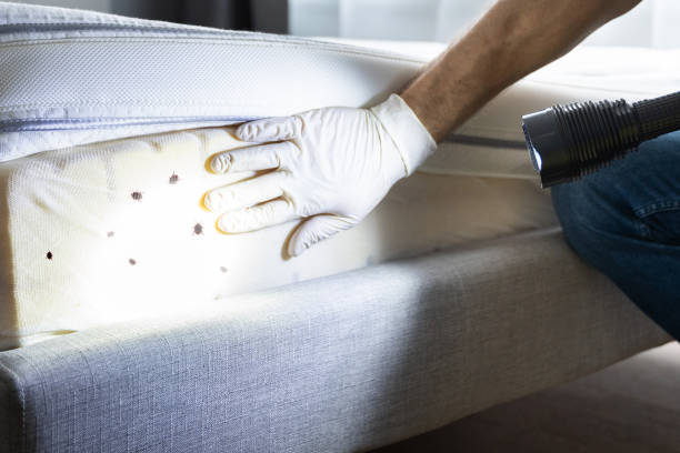 Best Bed Bug Extermination  in Columbus, NC