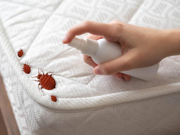 Reliable Columbus, NC Pest Control Solutions